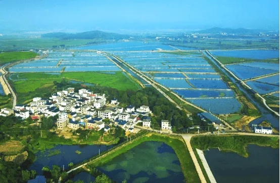 上市公司在海南丨总投资12.8亿元！神农科技拟投建水产种源项目 拓宽生物育种业务领域