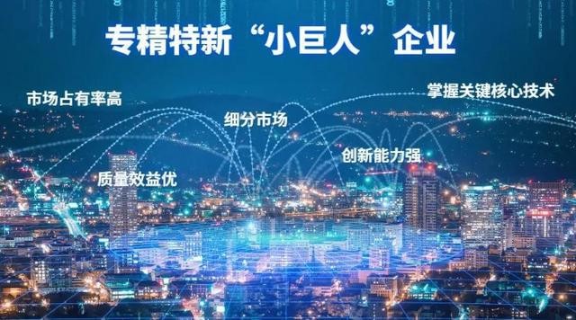 海南4家企業通過國家級專精特新“小巨人”企業審核
