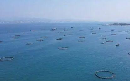 最高1.5億元補助！海南明確漁業轉型升級路徑