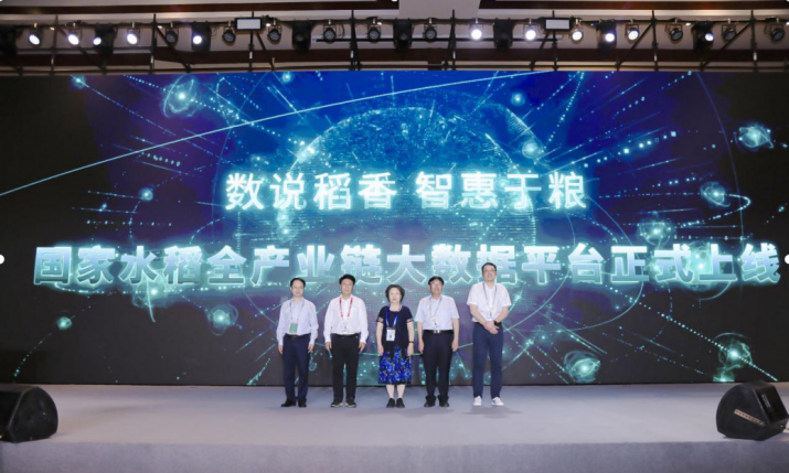 國家水稻全產業鏈大數據平臺上線